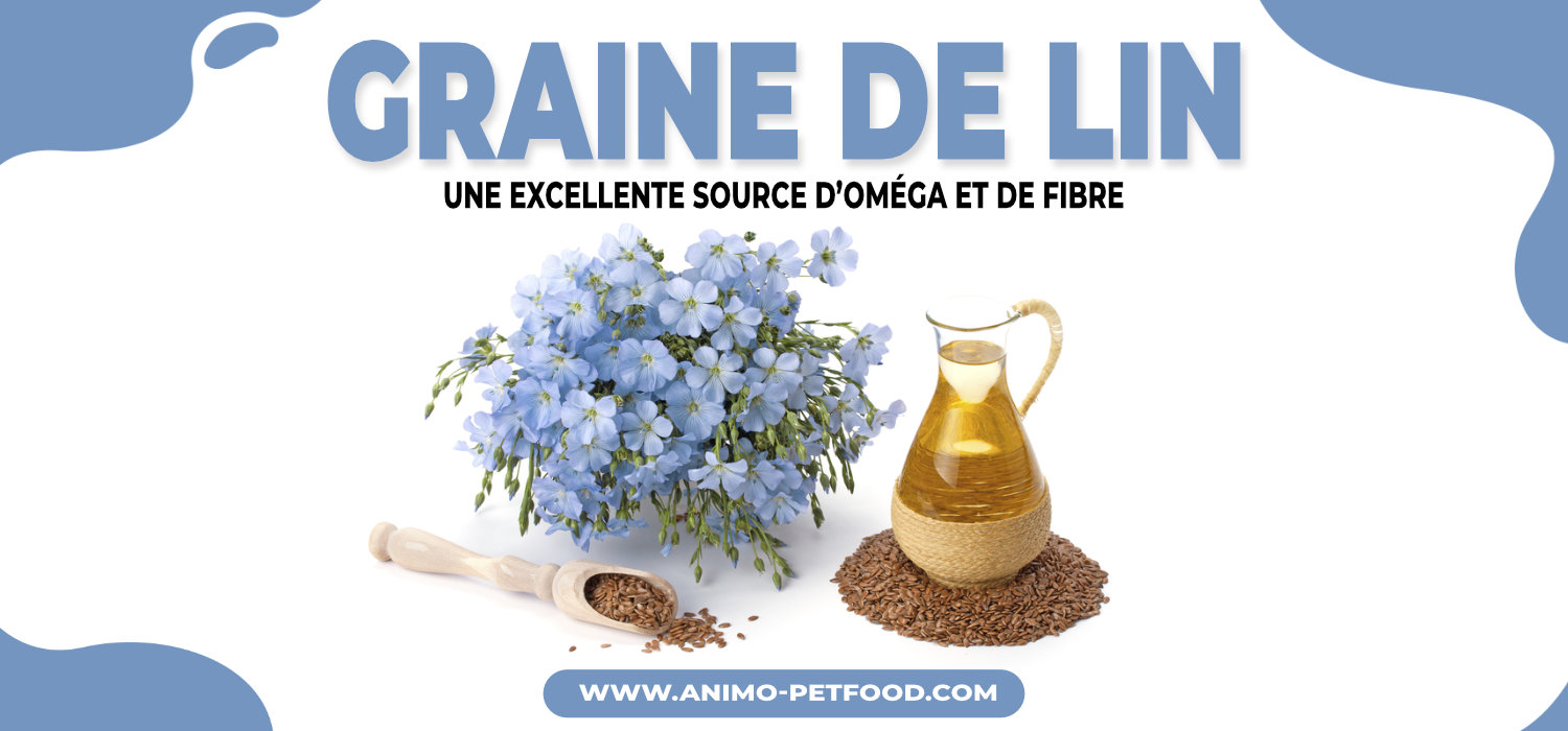 avantage-sante-de-la-graine-de-lin-dans-alimentation-pour-chien-et-chat